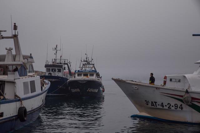 Barcos de noche